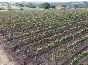 Foto 01 · Chácara à venda em Indaiatuba-SP, no bairro Chácaras Videiras de Itaici: 5000m² de área!
