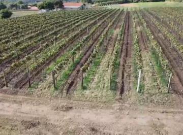 Foto 01 · Chácara à venda em Indaiatuba-SP, bairro Chácaras Videiras de Itaici.10.000m² de área. Venha conferi