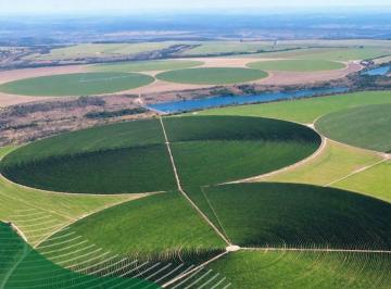 Rural , Unaí · Unai - Fazenda alto padrão - Café !