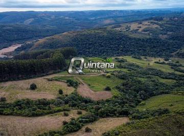 Rural · 990000m² · Fazenda 99 ha à Venda com potencial turístico e fruticultura