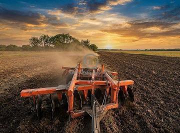 Operação de preparo de solo a pleno vapor: propriedade entregue pronta para o trabalho do comprador. · Fazenda 1.435 ha em Uruçuí - PI | Dupla Aptidão no MATOPIBA