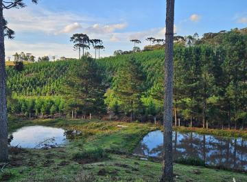 Terreno · 9200m² · 2 Quartos · Chácara para venda em Postinho de 9200.00m² com 2 Quartos e 1 Suite