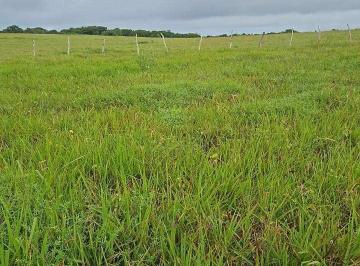 terreno-a-venda-300m1328011.jpeg · Terreno à venda em Tibau do Sul, TIBAU DO SUL, 300m²
