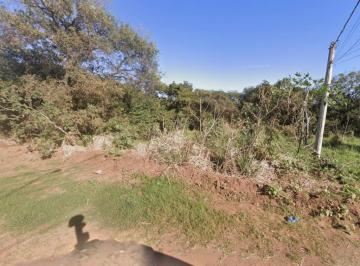 Terreno, 800m², Centro, Sidrolândia/MS - Foto [1] · Terreno, 800m², Centro, Sidrolândia/MS