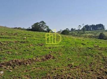 Rural · 10m² · 3 Quartos · 2 Vagas · Fazenda / Sítio para venda em Vila Sao Joao de 10.00m² com 3 Quartos e 2 Garagens