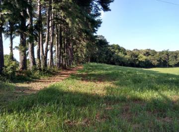 Terreno · 11m² · Terreno para venda em São Miguel de 11.00m²