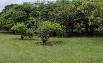 Casa · 120m² · 1 Quarto · 1 Vaga · Casa para venda em Barão Geraldo de 120.00m² com 1 Quarto, 1 Suite e 1 Garagem