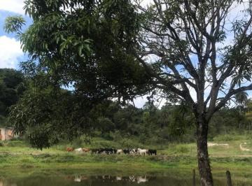 Terreno · 250000m² · 10 Vagas · Terreno para venda em Bandeirinhas de 250000.00m² com 10 Garagens
