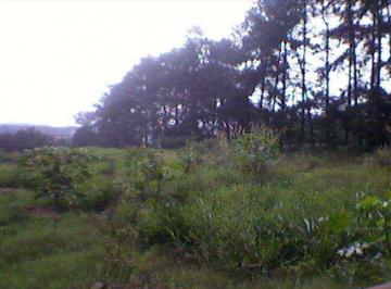Terreno · 5350m² · Terreno para venda em Chácara Do Solar I (fazendinha) de 5350.00m²