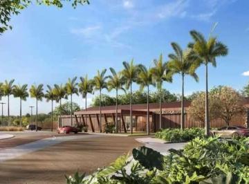 Terreno · 420m² · Terreno para venda em Vila Suissa de 420.00m²