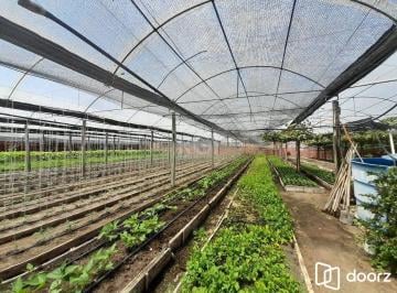 Terreno · 6629m² · SÍTIO DENTRO DE PORTO ALEGRE 6.629,10 metros quadrados de área no bairro Campo N