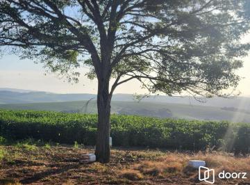 Rural · 2400000ha · 3 Quartos · 3 Vagas · Fazenda apenas 50 quilômetros de PORTO ALEGRE