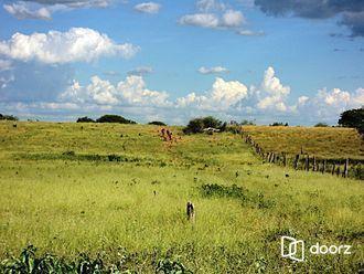 Rural · 40000m² · 2 Quartos · 2 Vagas · Sítio em Triunfo