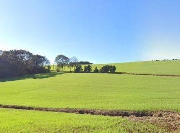 Terreno · 400000m² · Terreno à venda - em São José