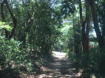 Terreno · 6750m² · Terreno à venda - na Vila Nova