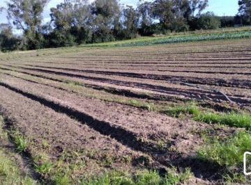Rural · 4069m² · Área com 4,695 hectares à venda, Av. do Lami - Belem Novo