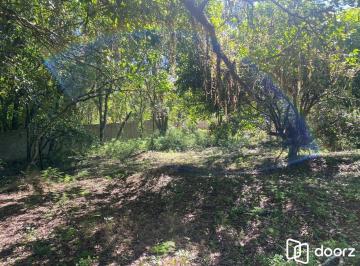 Terreno · 9750m² · Excelente terreno!
