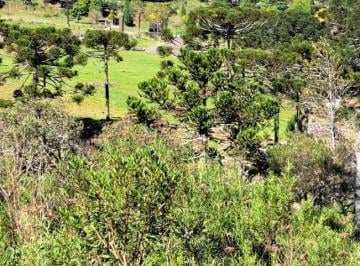 Rural · 3ha · 3 Quartos · 3 Vagas · Rurais à venda - no Centro