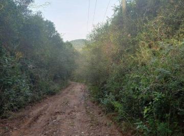 .jpg+2025-03-04 · Terreno à venda Belém Novo Porto Alegre/RS