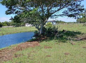 Rural · 6738m² · 2 Quartos · 1 Vaga · Excelente Sítio na Capital de 6.737,57 m2, Bairro Lami, Porto Alegre RS