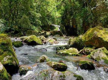 Rural · 50ha · 2 Quartos · 10 Vagas · SITIO PARA LAZER E TURISMO. COM TODAS AS LICENÇAS, URBANIZADO PRONTO PARA INVES