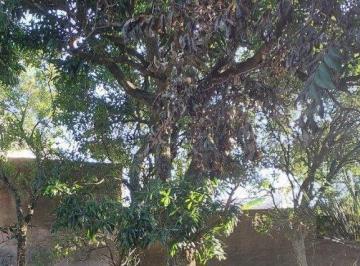 Terreno · 836m² · Terreno à venda - em Menino Deus