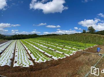 Rural · 200m² · Rurais à venda - em São José do Hortêncio
