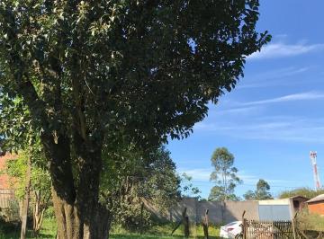 Terreno · 780m² · Terreno à venda - em Neópolis