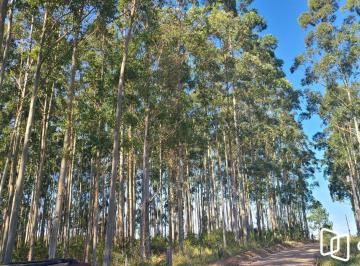 Terreno · Ampla Área em Viamão – 18,5 Hectares de Potencial