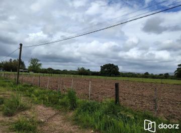 Rural · 1000ha · Sítio na Avenida Juca Batista.