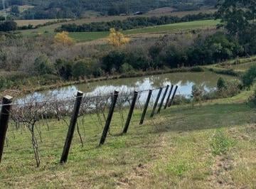 Rural · 220178m² · 2 Quartos · 5 Vagas · Excelente Sitio de 22 Ha em Mariana Pimentel.