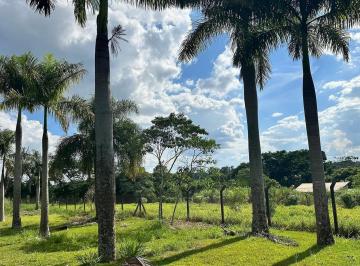 IMG_7784.jpg · Terreno à venda, Gleba Fazenda Palhano, Londrina, PR