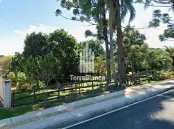 whatsapp-image-2026-08-12-at-12-05-36-21786547702482.jpeg · Imoveis - em Colônia Dona Luíza