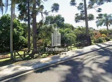 whatsapp-image-2026-08-12-at-12-05-36-31786547808931.jpeg · Imoveis - em Colônia Dona Luíza