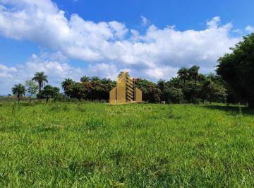 Rural · 11510000m² · Rurais à venda - em Serra da Saudade