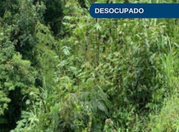 Modelo Desocupado (77).jpg · Terreno no Bairro Flor da Serra em Joaçaba/SC