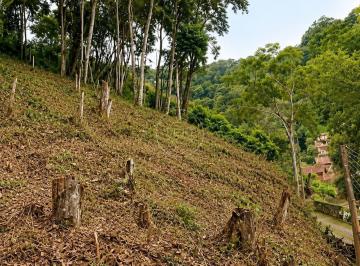 Terreno · 1112m² · Lote à venda com 1.112 m² no Condomínio Sítio Guararema, em Santa Mônica, Itaipava
