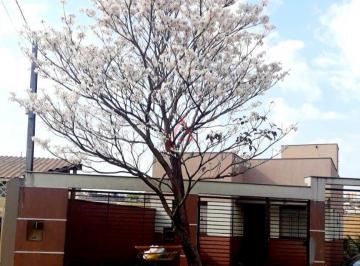 Casa · 130m² · 3 Quartos · 2 Vagas · Casa com 3 Quartos à Venda, 130m² por R$480.000,00, Andes, Londrina-PR