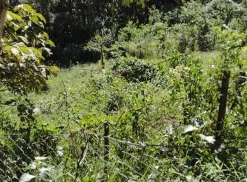 Terreno · 1050m² · Terreno em Araras, Petrópolis/RJ de 1050m² à venda por R$ 550.000,00