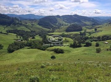 Rural · 10m² · 3 Quartos · Fazenda em Grão Mogol, Bocaina De Minas/MG de 10m² 3 quartos à venda por R$ 550.000,00