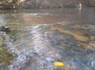 Rural · SITIO TOPO DO MUNDO A 20KM DE UBERLÂNDIA: 10HEC COM VISTA PANORÂMICA E BEIRA RIO