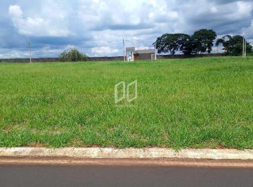 Terreno · 250m² · Terreno para venda em Machados de 250.00m²