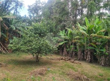Terreno · 200m² · 4 Quartos · 3 Vagas · Chácara para venda em Pau Arcado de 200.00m² com 4 Quartos, 1 Suite e 3 Garagens
