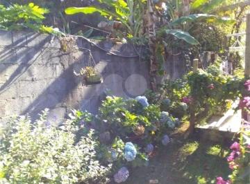 Terreno · 360m² · 3 Quartos · 12 Vagas · Chácara para venda em Centro de 360.00m² com 3 Quartos, 3 Suites e 12 Garagens