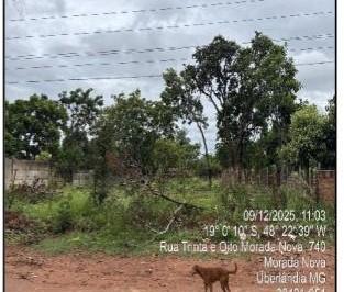 Imagem 1 · Terreno para venda em Morada Nova, Uberlândia