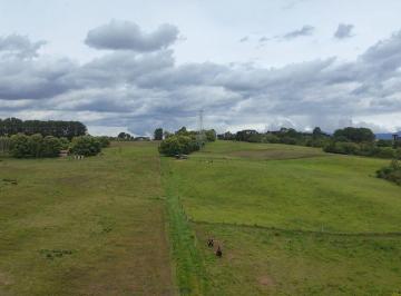 Rural , São José dos Pinhais · Área rural á venda próximo a Audi