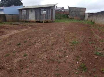202608131054152231.jpg · Lote para Venda, são luiz, 1 dormitório, 1 banheiro