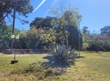 Terreno , Brasília · Oportunidade Vendo lote Park Way Quadra 27 c/2.000 m² de área total, escriturado ótima localização