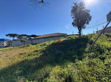 img1 · Terreno - Quississana