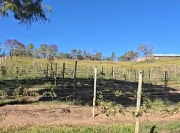 Rural , Santo Antônio do Descoberto · Linda Chácara no Vitivinícola Engenho DF/GO